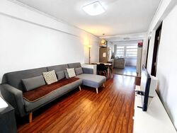 Blk 165 Stirling View (Queenstown), HDB 3 Rooms #547417071